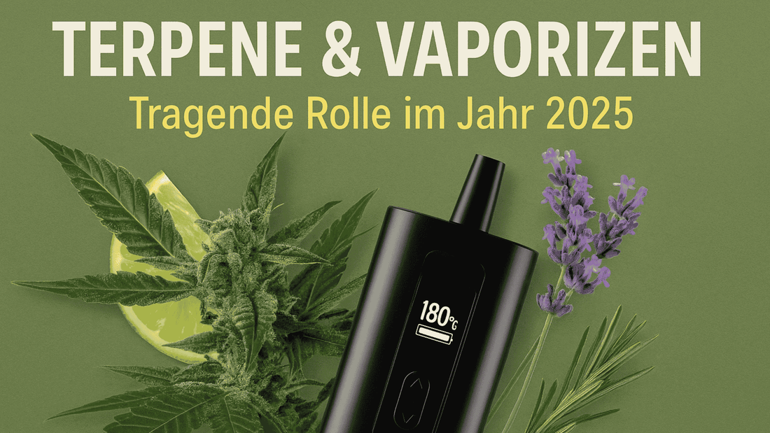 Cannabis-Terpene, Verdampfer und Aromapflanzen wie Lavendel, Rosmarin und Limette – Blogbanner über Terpene & Vaporizer 2025
