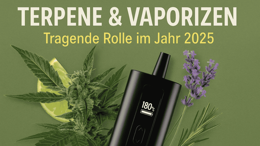 Cannabis-Terpene, Verdampfer und Aromapflanzen wie Lavendel, Rosmarin und Limette – Blogbanner über Terpene & Vaporizer 2025